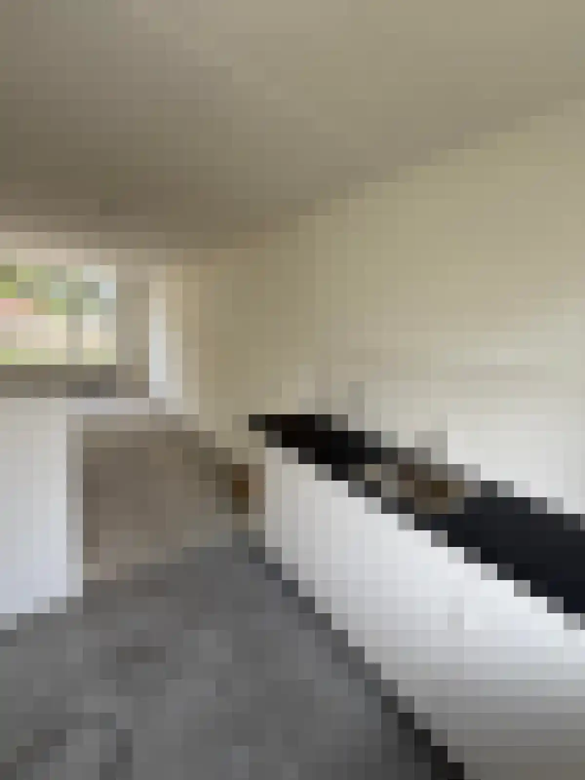 Oestererf 8 Heerlen thumbnail 5