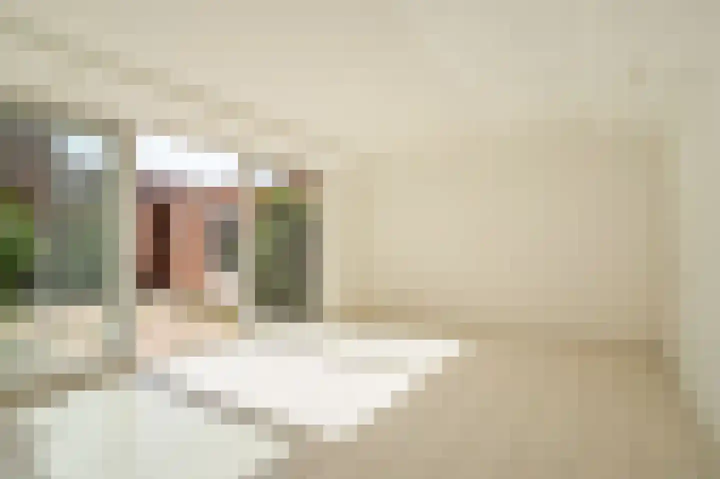 Oesterhof 1 Den Haag thumbnail 14