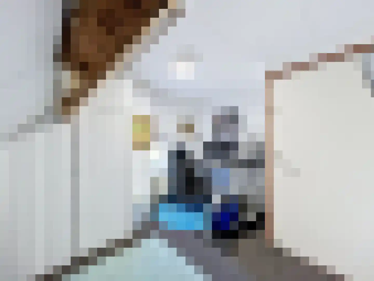 Oesterpad 1 Hoofdplaat thumbnail 12