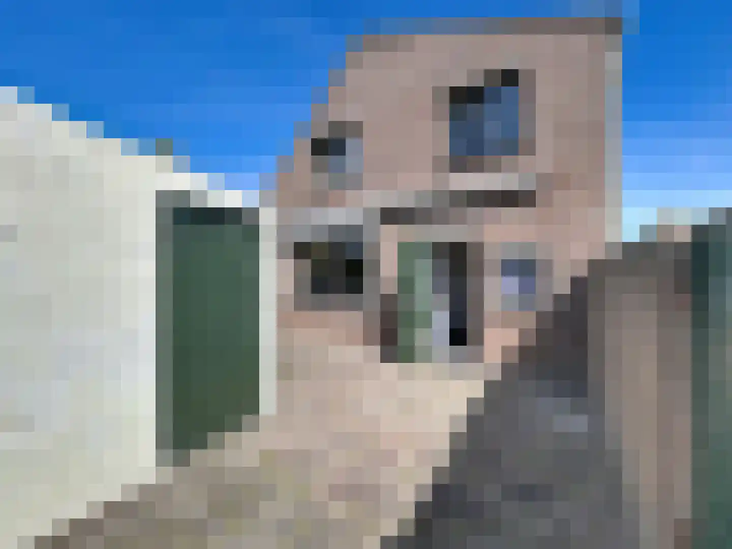 Oesterpad 1 Hoofdplaat thumbnail 13