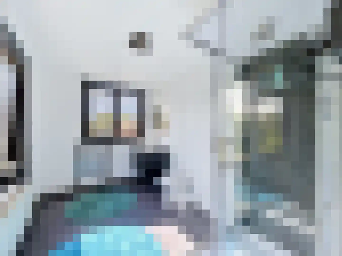 Oesterpad 1 Hoofdplaat thumbnail 7