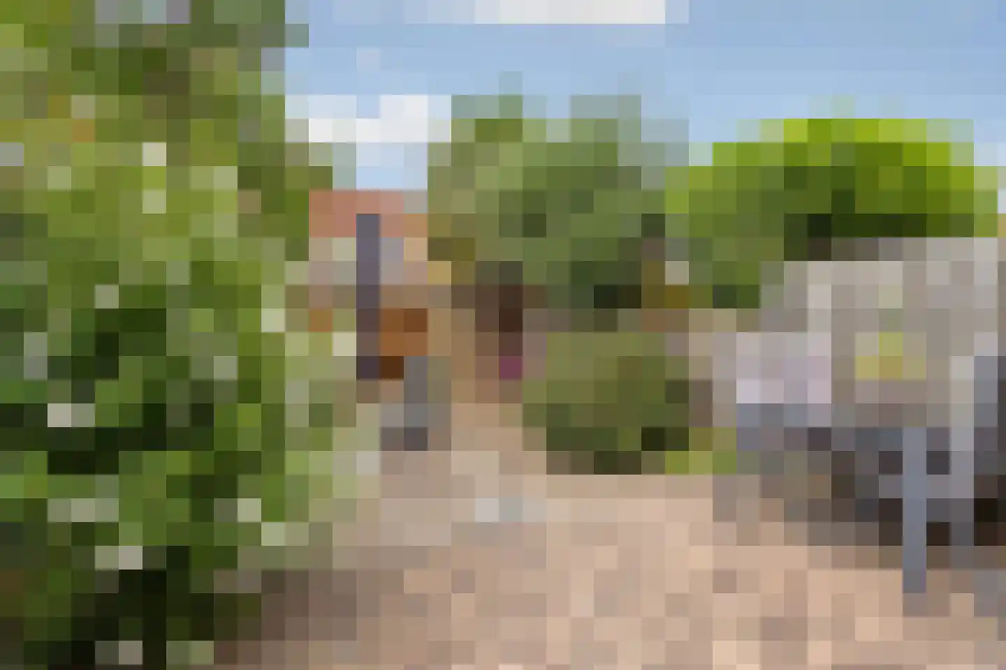 Oesterplantsoen 12 Almere thumbnail 32