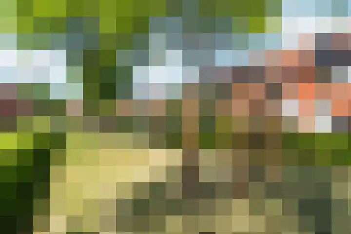 Oesterplantsoen 24 Almere thumbnail 36