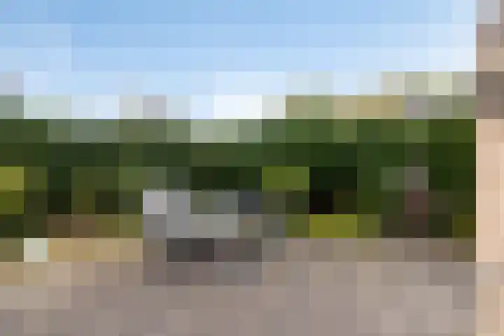 Oesterputten 1 Terneuzen thumbnail 27
