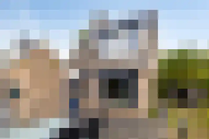 Oesterputten 1 Terneuzen thumbnail 29