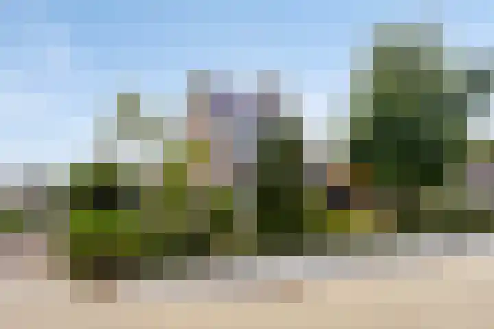 Oesterputten 1 Terneuzen foto 3