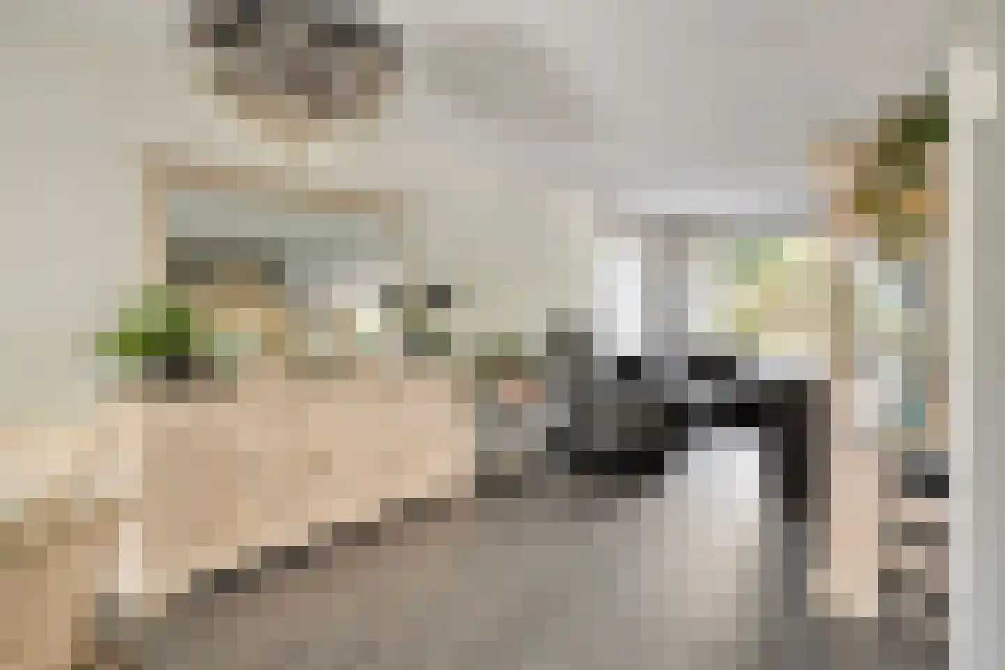 Oesterputten 14 Terneuzen thumbnail 4