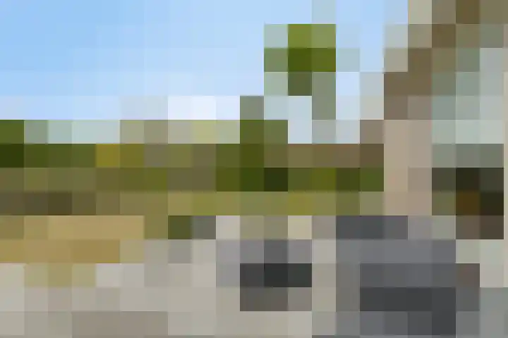 Oesterputten 16 Terneuzen thumbnail 15