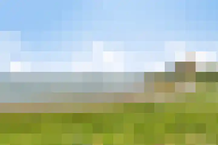 Oesterputten 16 Terneuzen thumbnail 17