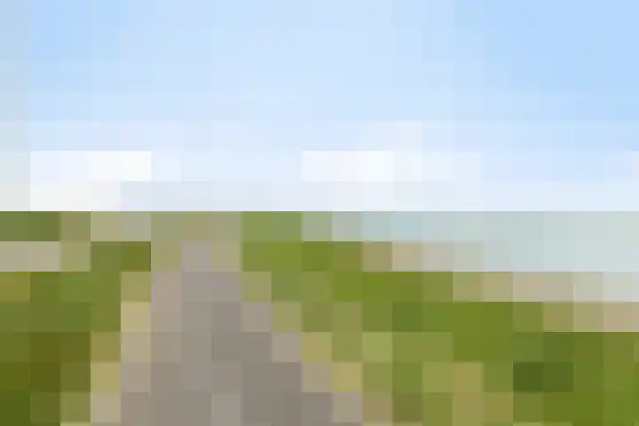 Oesterputten 16 Terneuzen thumbnail 18