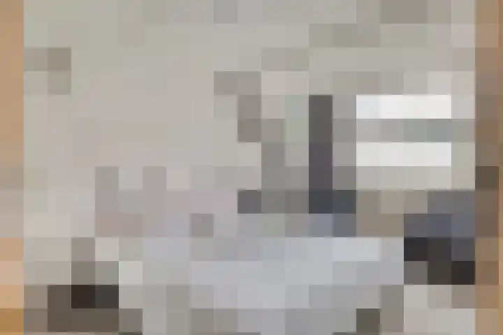 Oesterputten 16 Terneuzen thumbnail 9