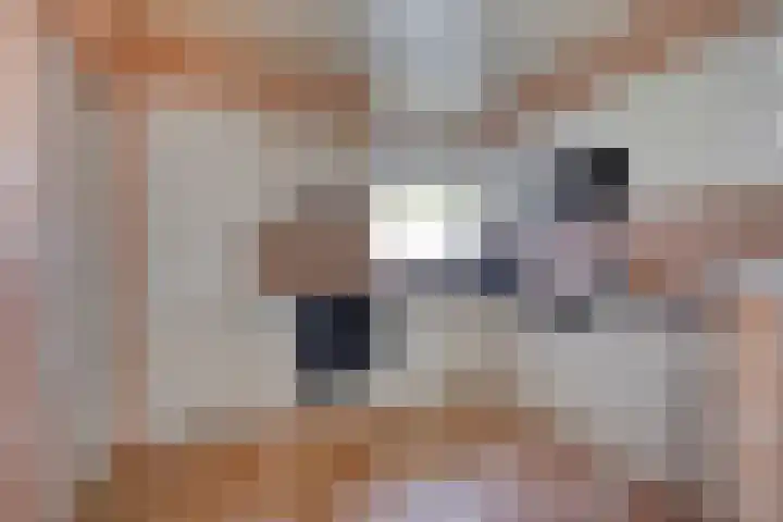 Oesterstraat 2 Bruinisse thumbnail 5