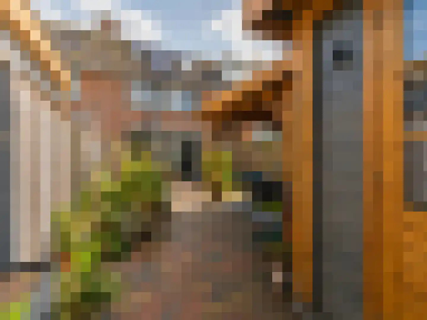 Oesterstraat 27 Zierikzee thumbnail 24