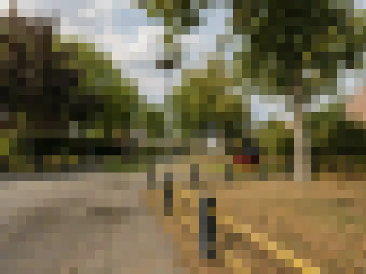 Oesterstraat 27 Zierikzee thumbnail 29