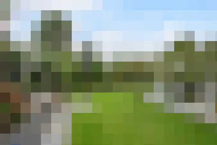Oesterstraat 33 Tholen thumbnail 5