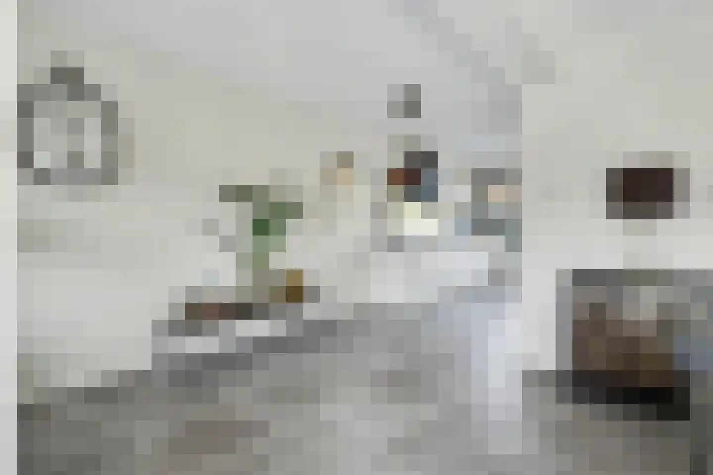 Oesterstraat 33 Zierikzee thumbnail 17