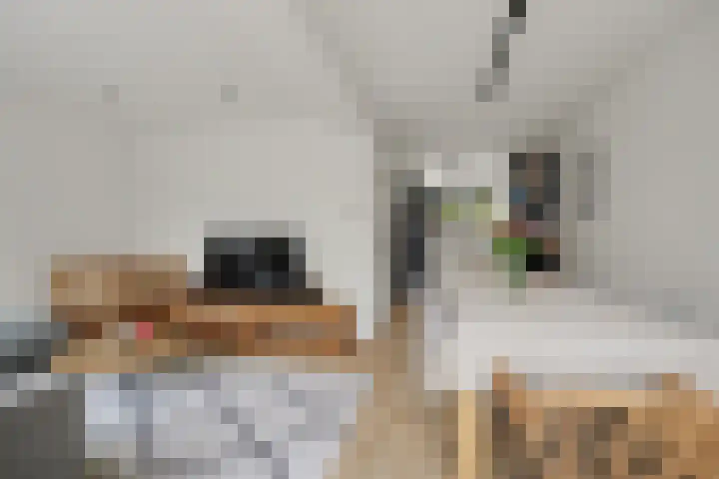 Oesterstraat 43 Zierikzee thumbnail 6