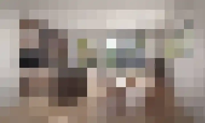 Oesterstraat 6 Berkel en Rodenrijs thumbnail 6