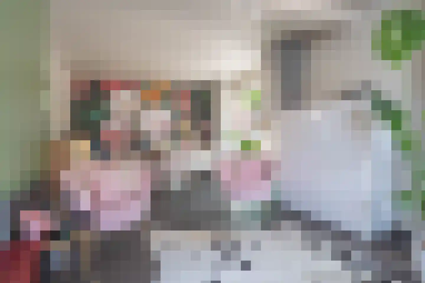 Oesterstraat 8 Yerseke thumbnail 22