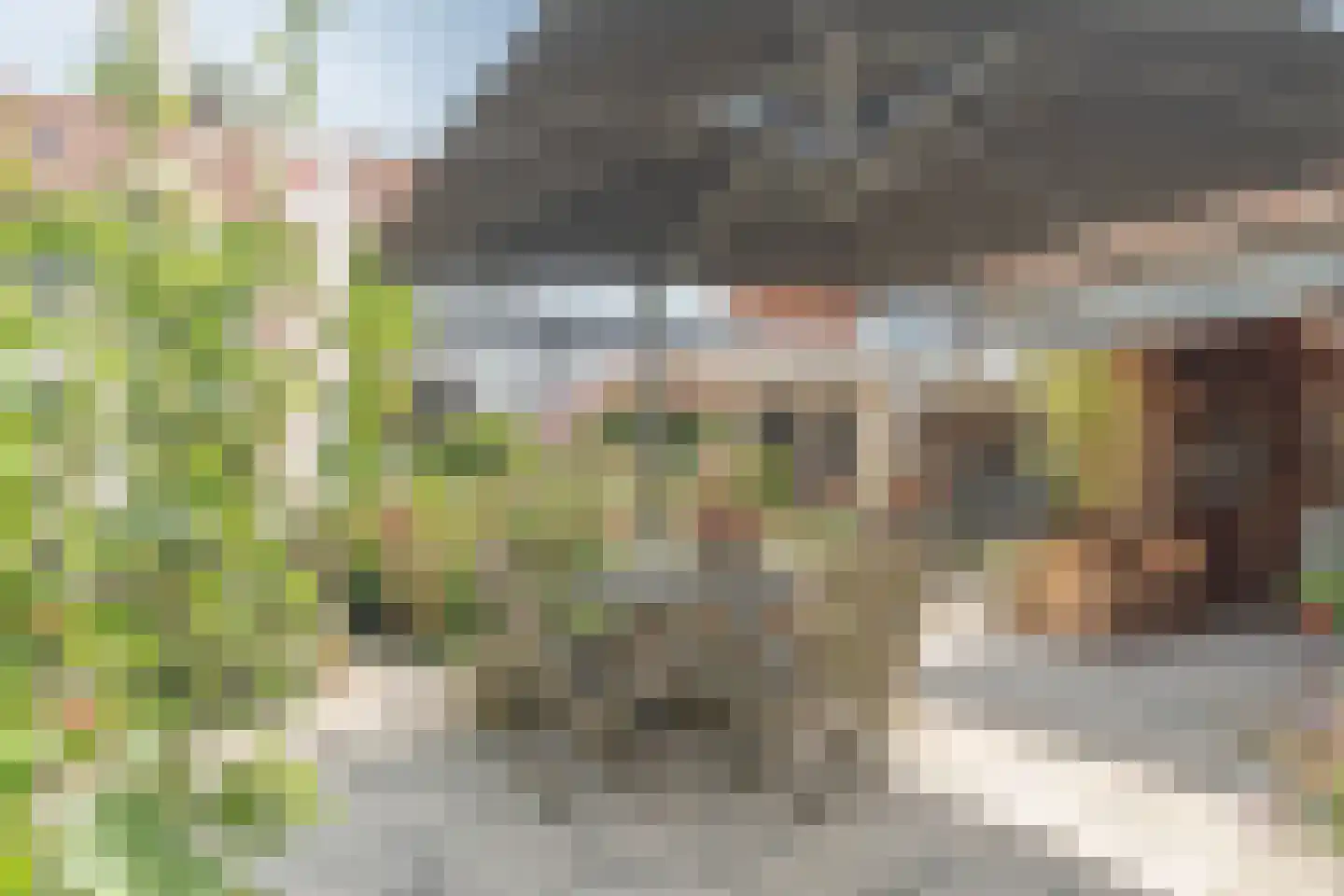 Oesterstraat 8 Yerseke thumbnail 38