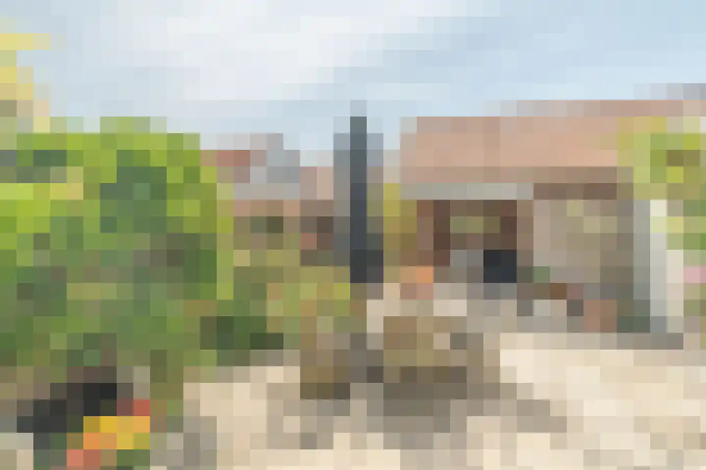 Oesterstraat 8 Yerseke thumbnail 39