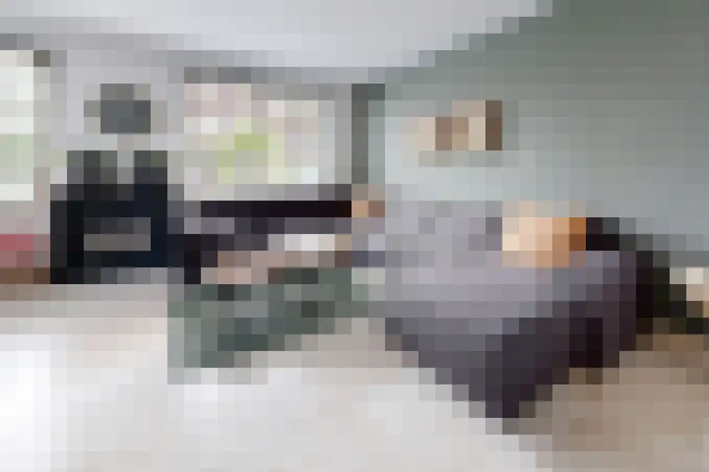 Oesterzwam 17 a Standdaarbuiten thumbnail 10