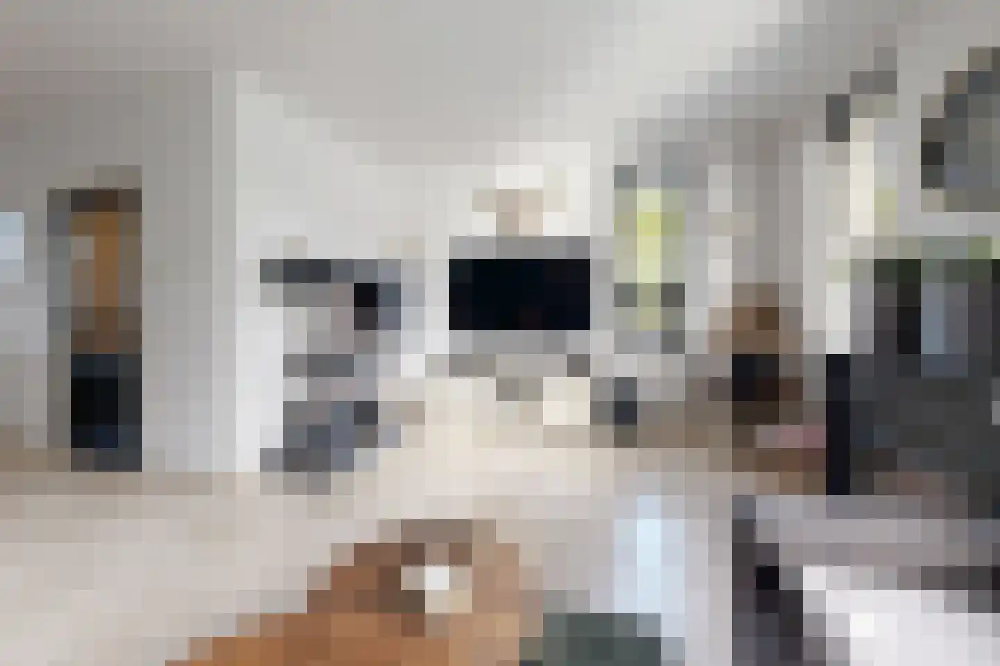 Oesterzwam 17 a Standdaarbuiten thumbnail 12