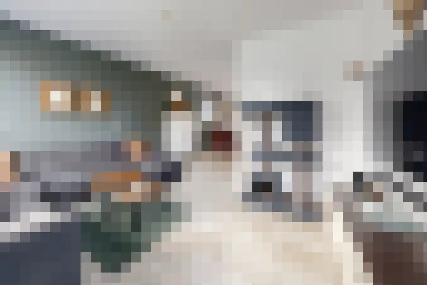 Oesterzwam 17 a Standdaarbuiten thumbnail 15