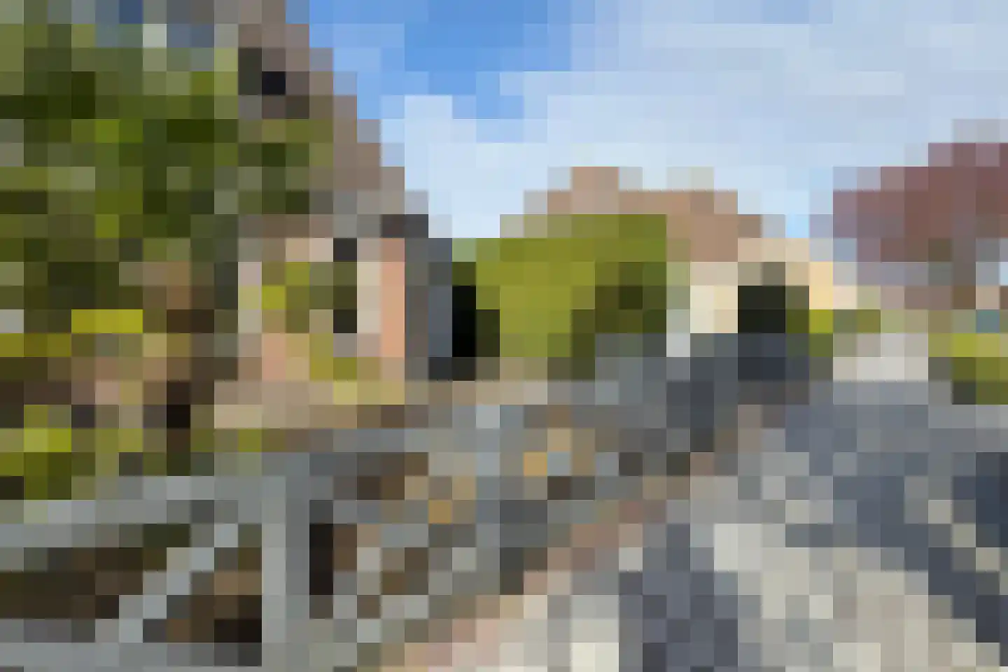 Oesterzwam 17 a Standdaarbuiten thumbnail 63