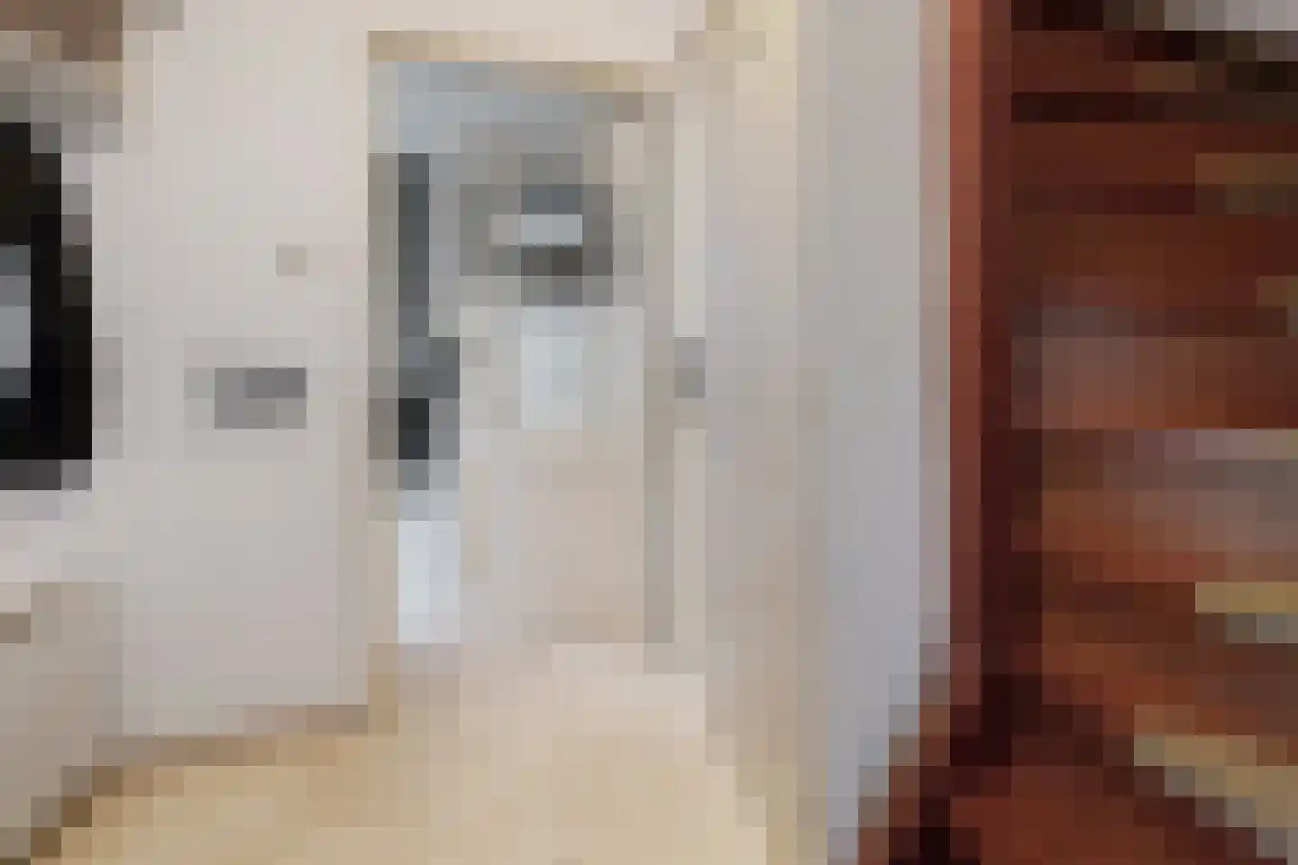 Oesterzwam 17 a Standdaarbuiten thumbnail 9