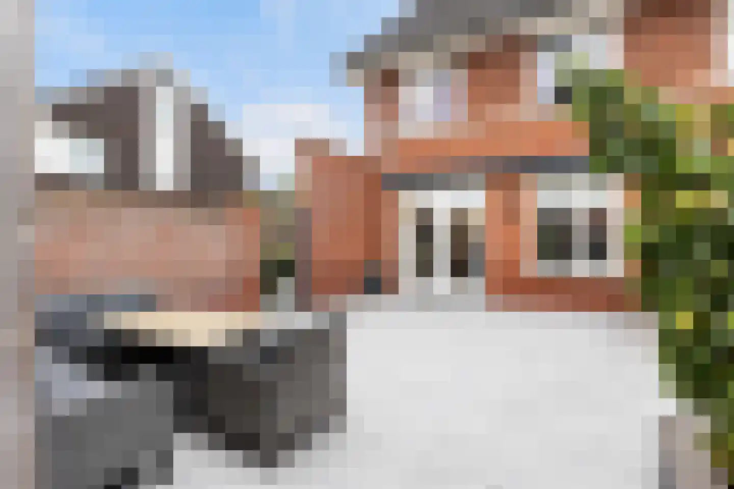 Oesterzwam 20 Apeldoorn thumbnail 12
