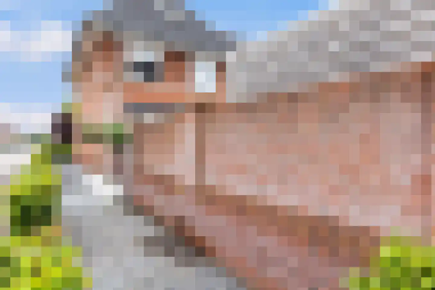 Oesterzwam 20 Apeldoorn thumbnail 13