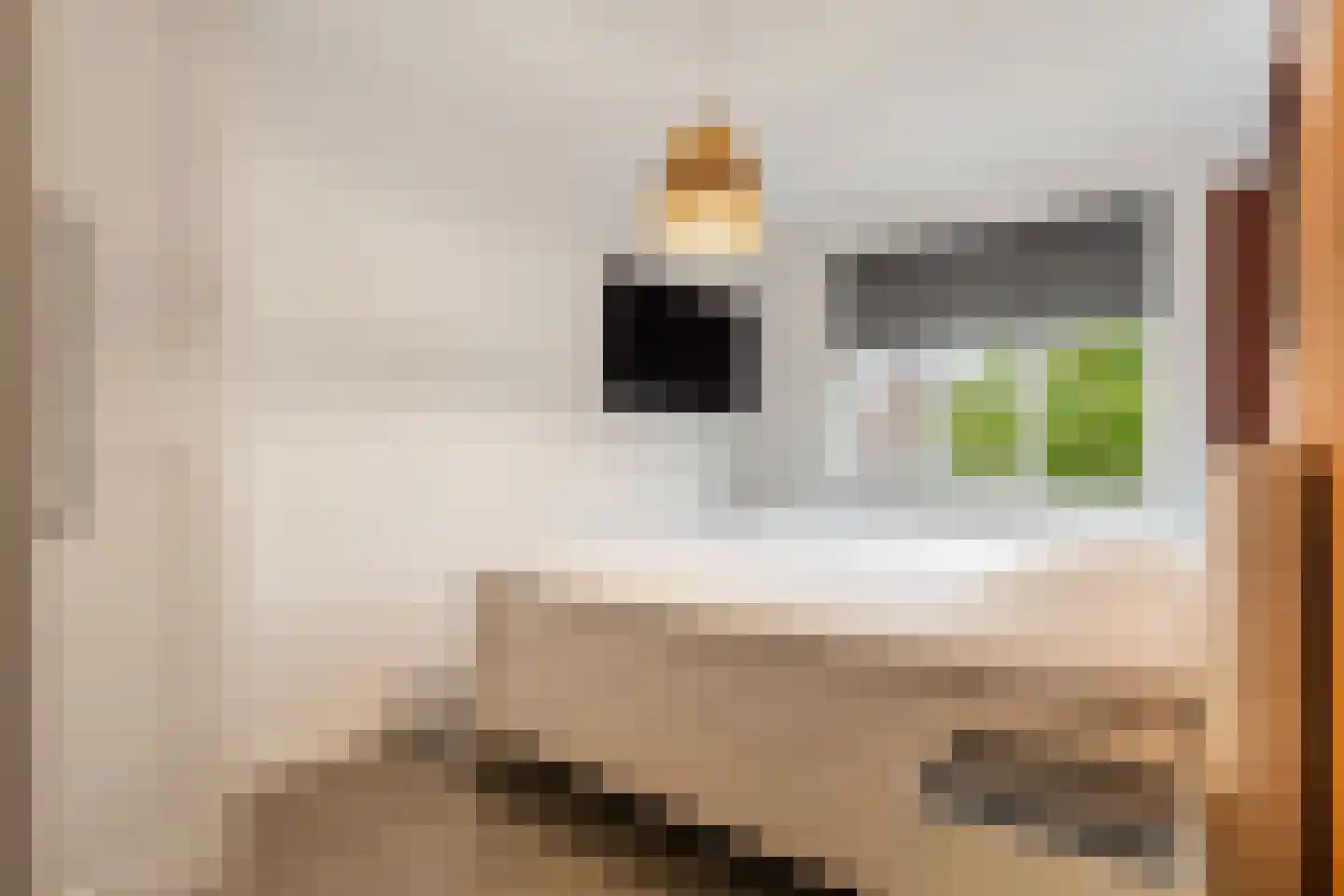 Oesterzwam 20 Apeldoorn thumbnail 18