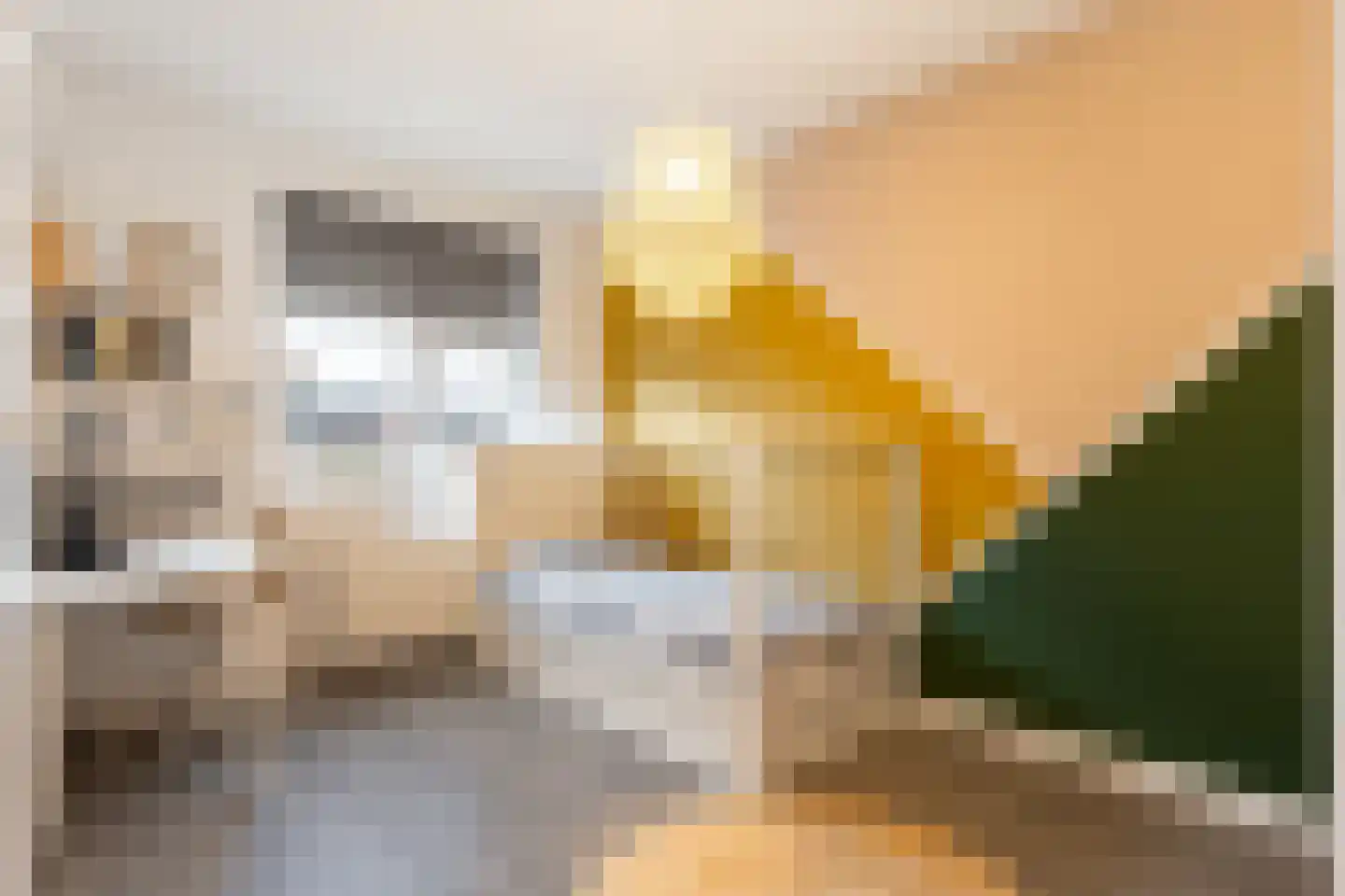 Oesterzwam 20 Apeldoorn thumbnail 23