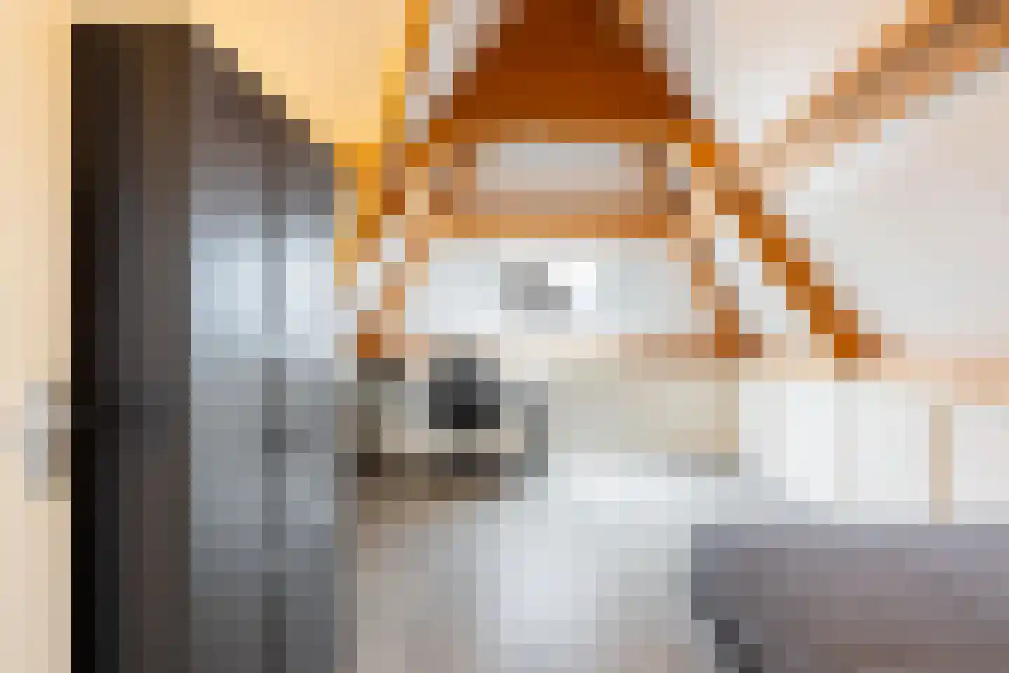 Oesterzwam 20 Apeldoorn thumbnail 27