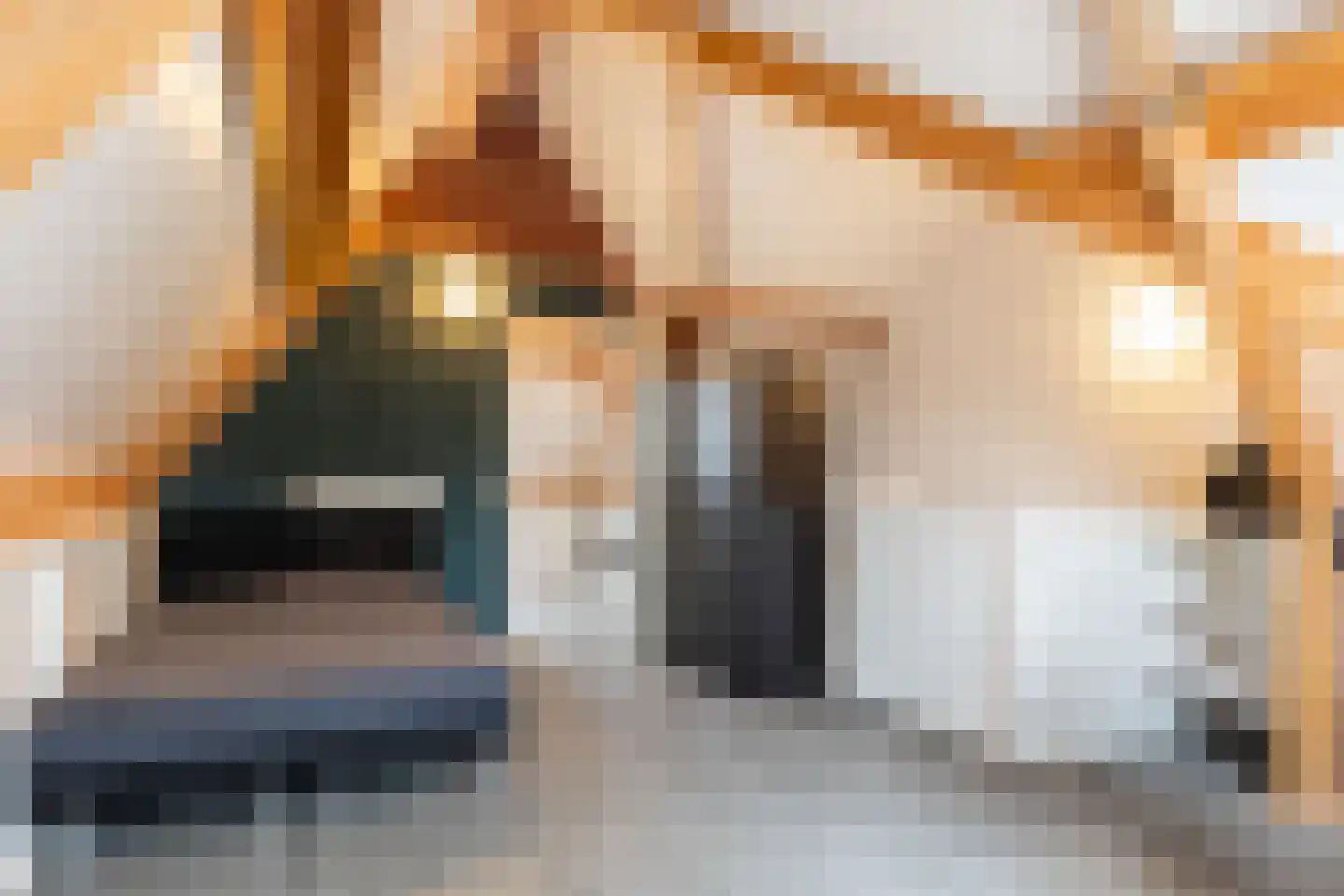 Oesterzwam 20 Apeldoorn thumbnail 28