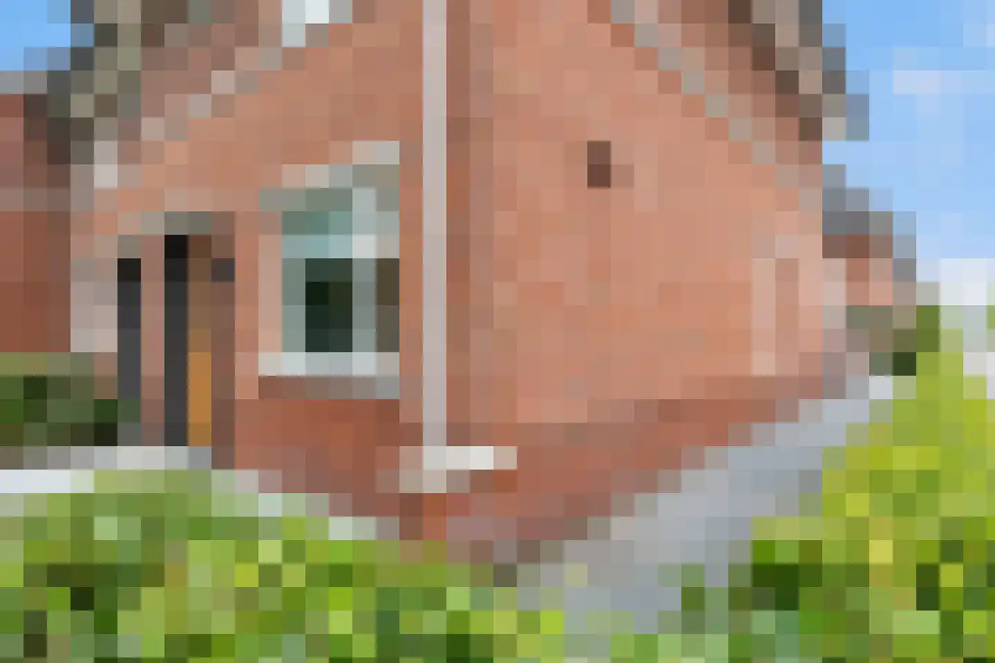 Oesterzwam 20 Apeldoorn thumbnail 32