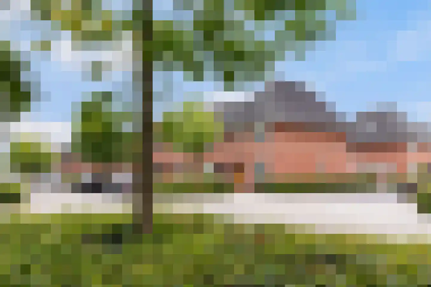 Oesterzwam 20 Apeldoorn thumbnail 35