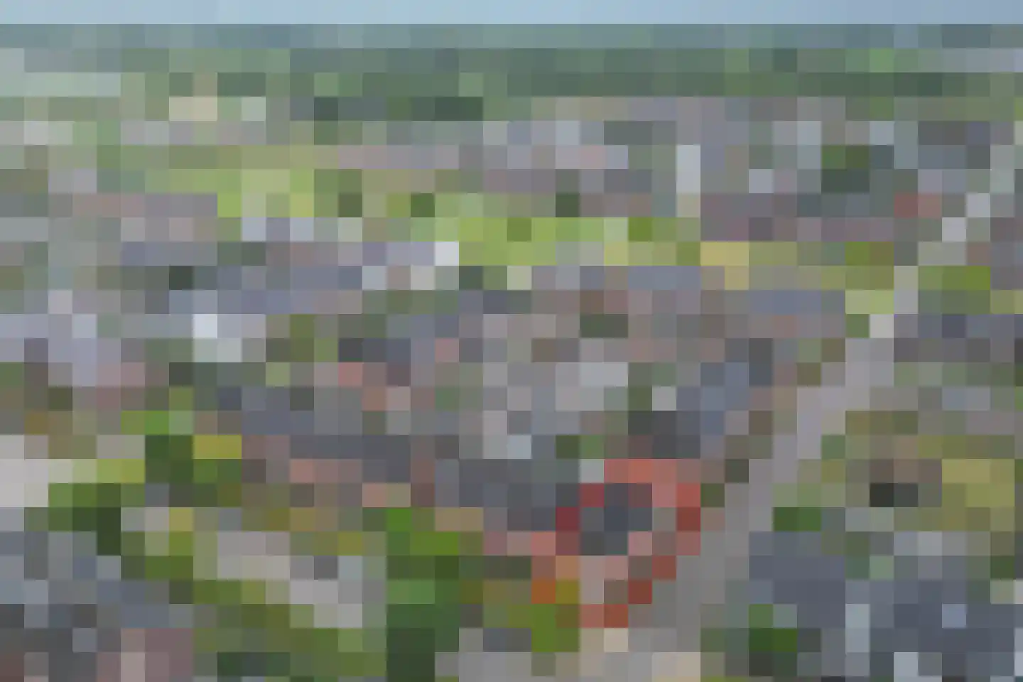 Oesterzwam 20 Apeldoorn thumbnail 36