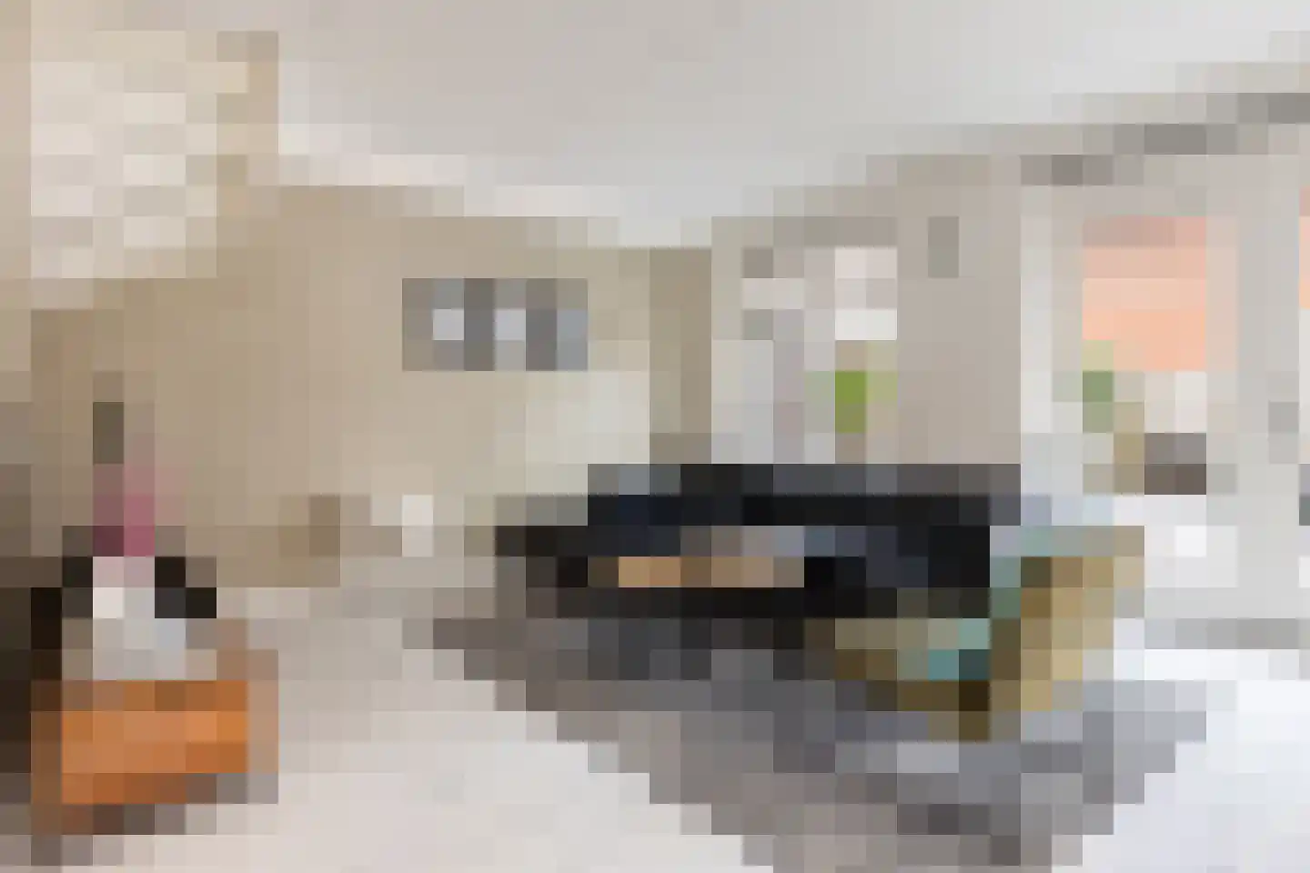 Oesterzwam 20 Apeldoorn thumbnail 4