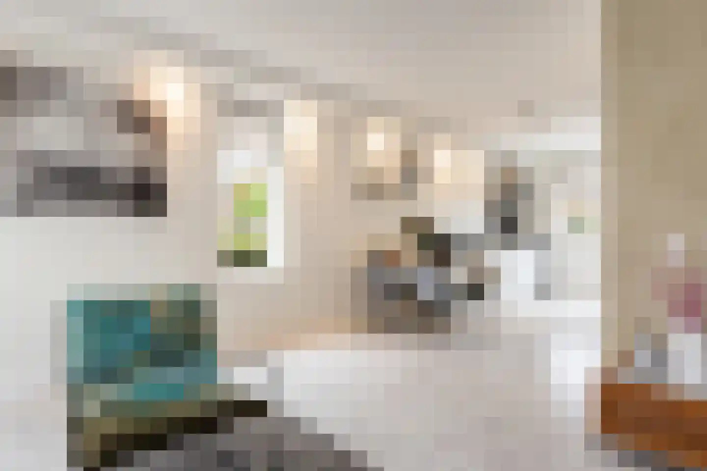 Oesterzwam 20 Apeldoorn thumbnail 5