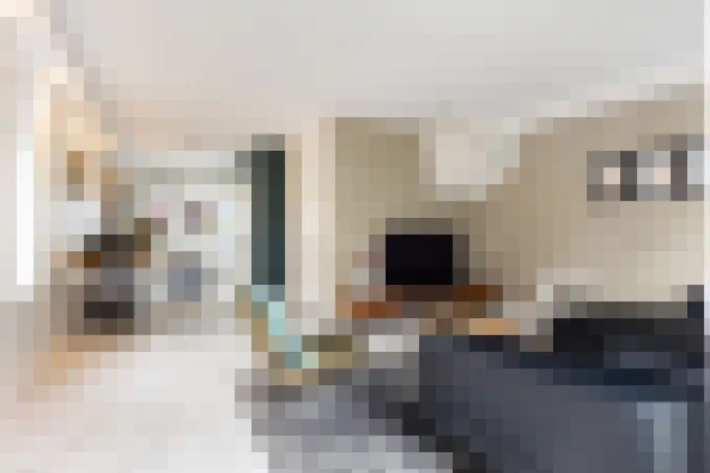 Oesterzwam 20 Apeldoorn thumbnail 6