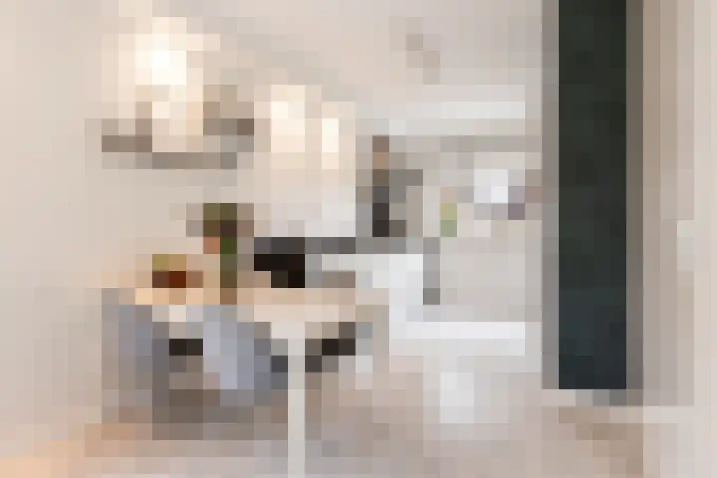 Oesterzwam 20 Apeldoorn thumbnail 7