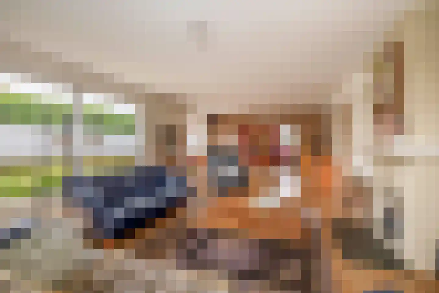 Oesterzwam 26 Standdaarbuiten thumbnail 13