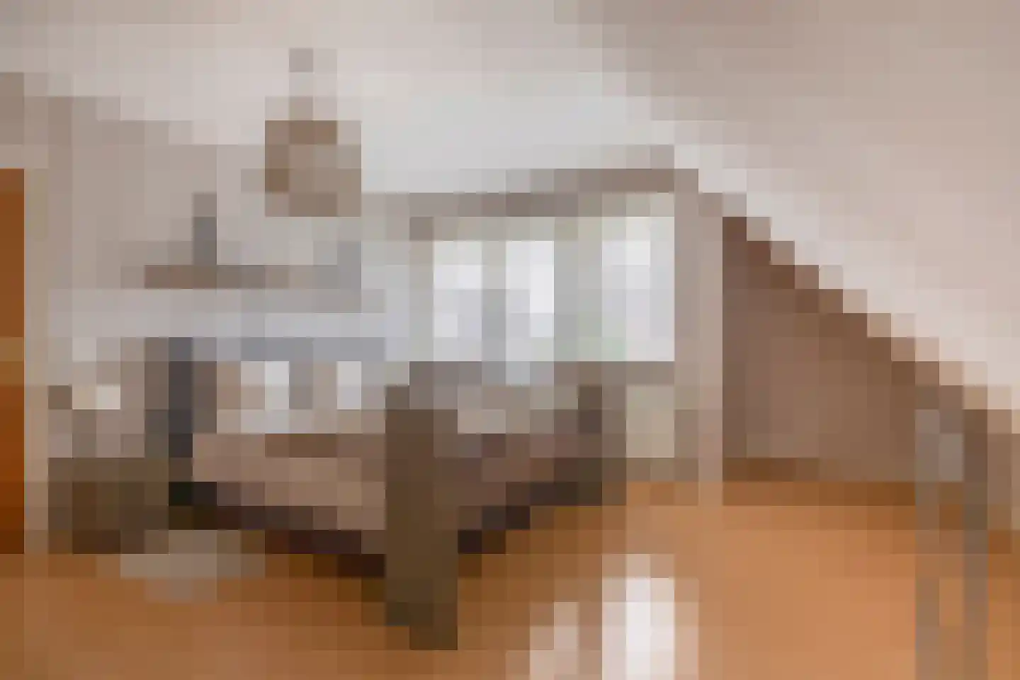 Oesterzwam 26 Standdaarbuiten thumbnail 28