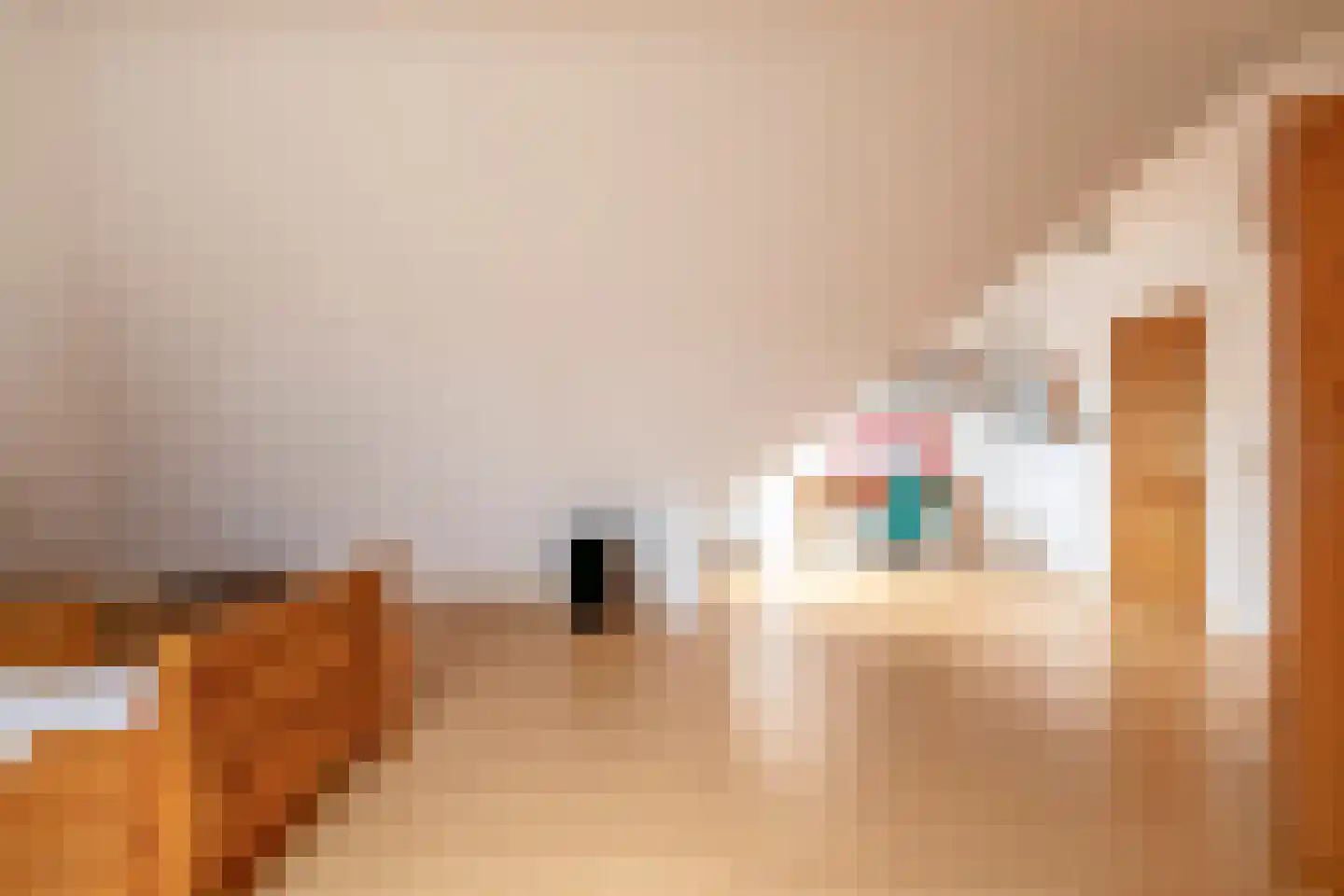 Oesterzwam 26 Standdaarbuiten thumbnail 32
