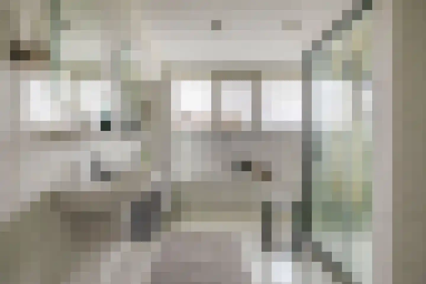 Oesterzwam 26 Standdaarbuiten thumbnail 37