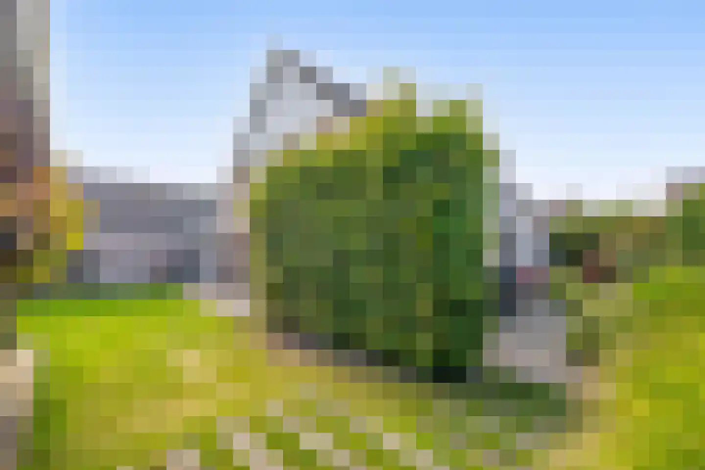 Oesterzwam 26 Standdaarbuiten thumbnail 4