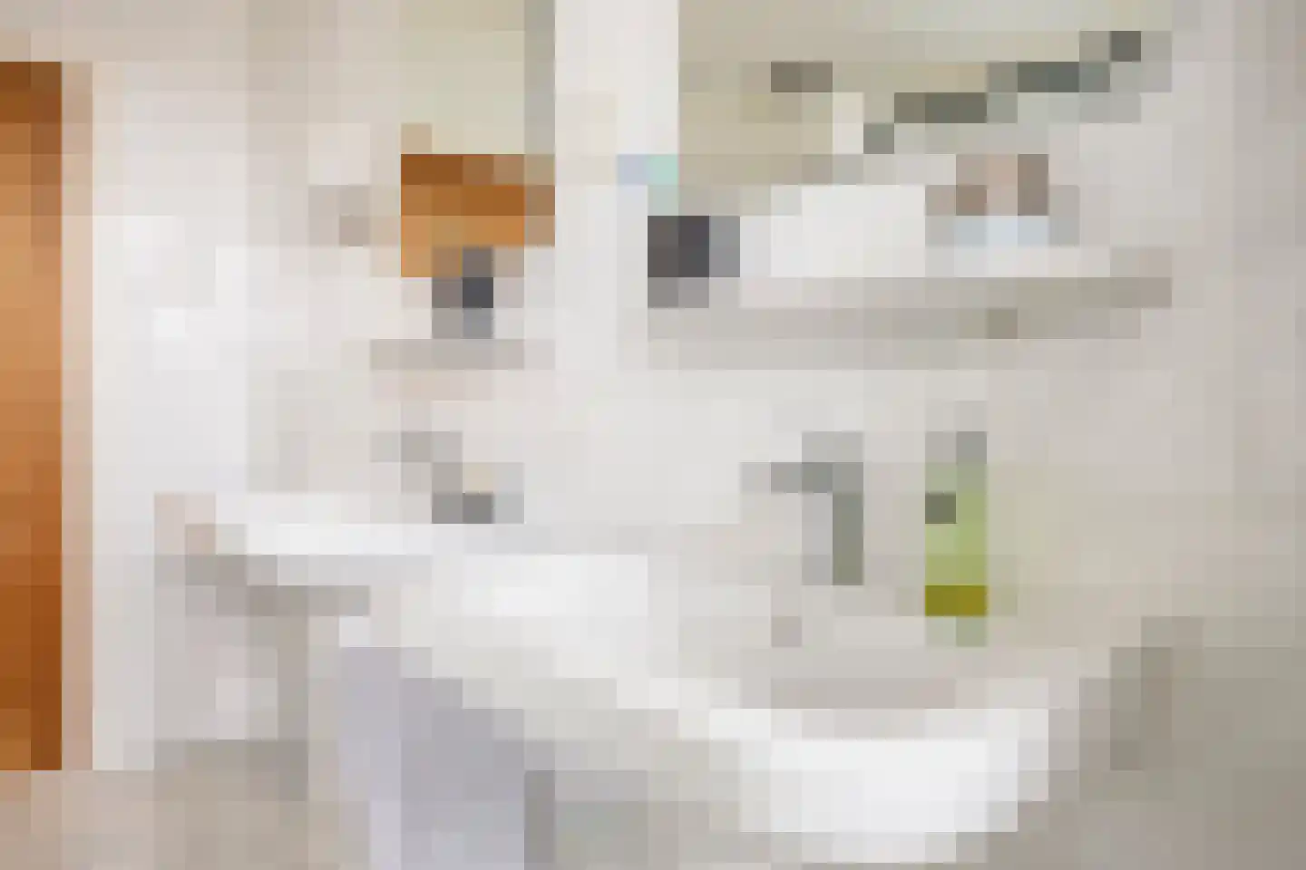 Oesterzwam 26 Standdaarbuiten thumbnail 40