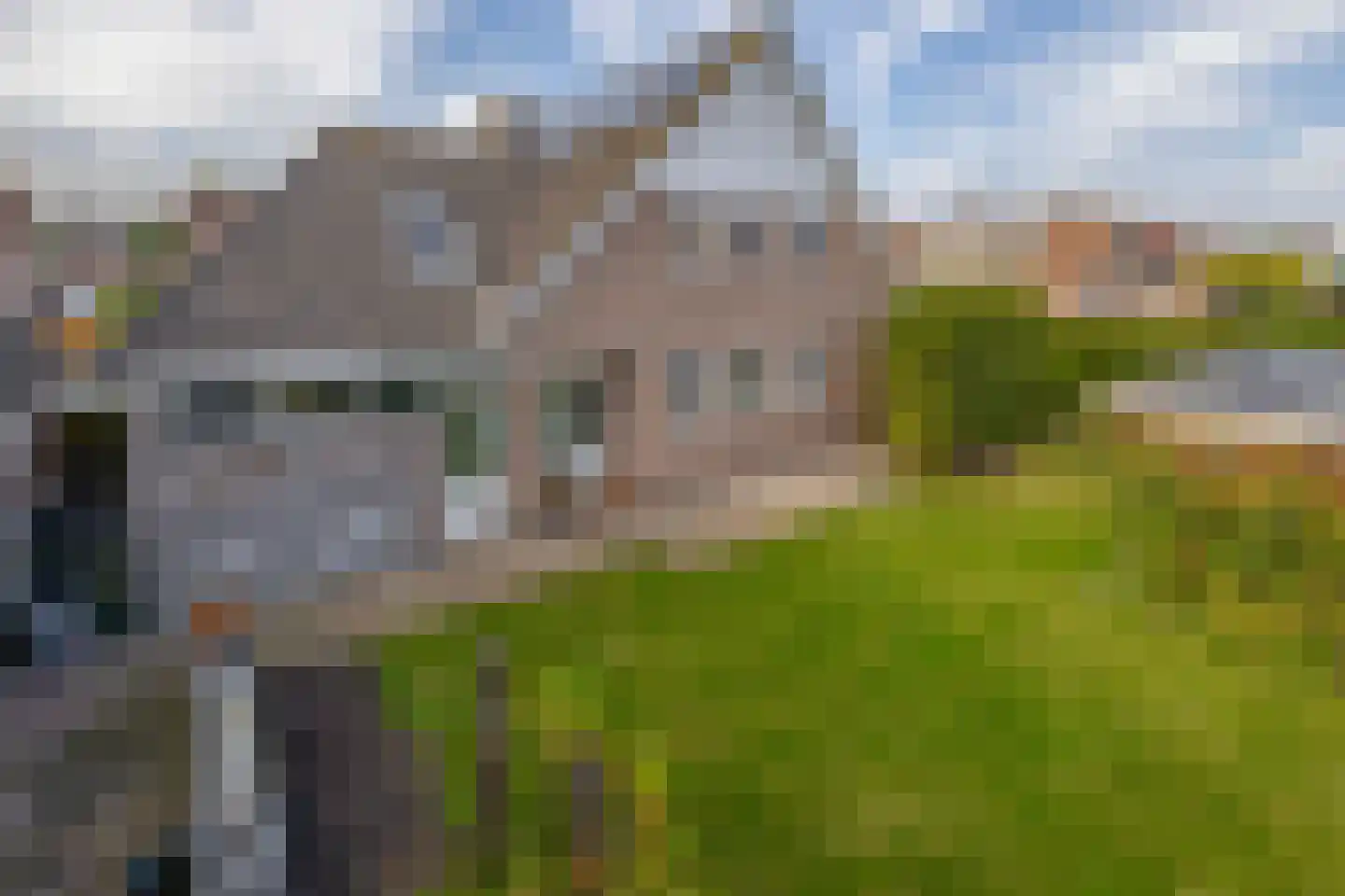 Oesterzwam 26 Standdaarbuiten thumbnail 42